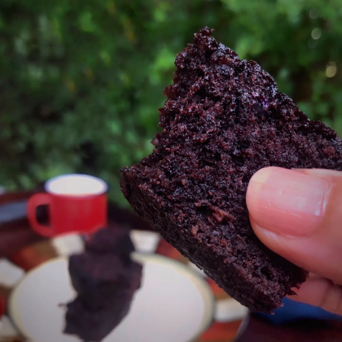 Chocolate Coconut Cake