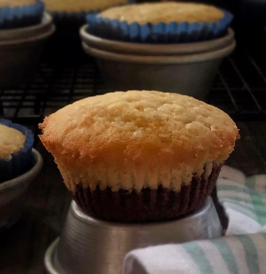 Chocolate Vanilla Cupcakes
