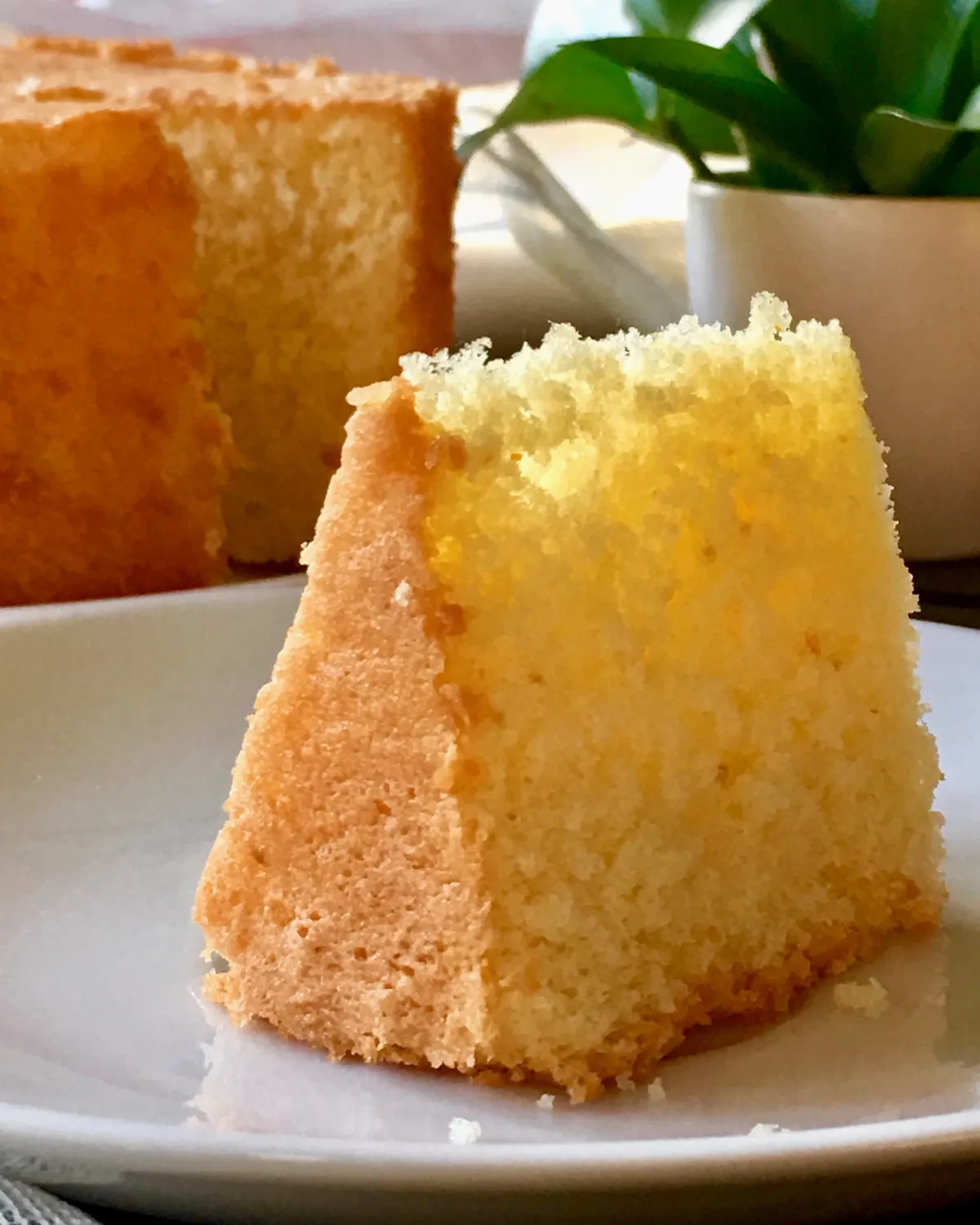 Coconut Orange Chiffon cake