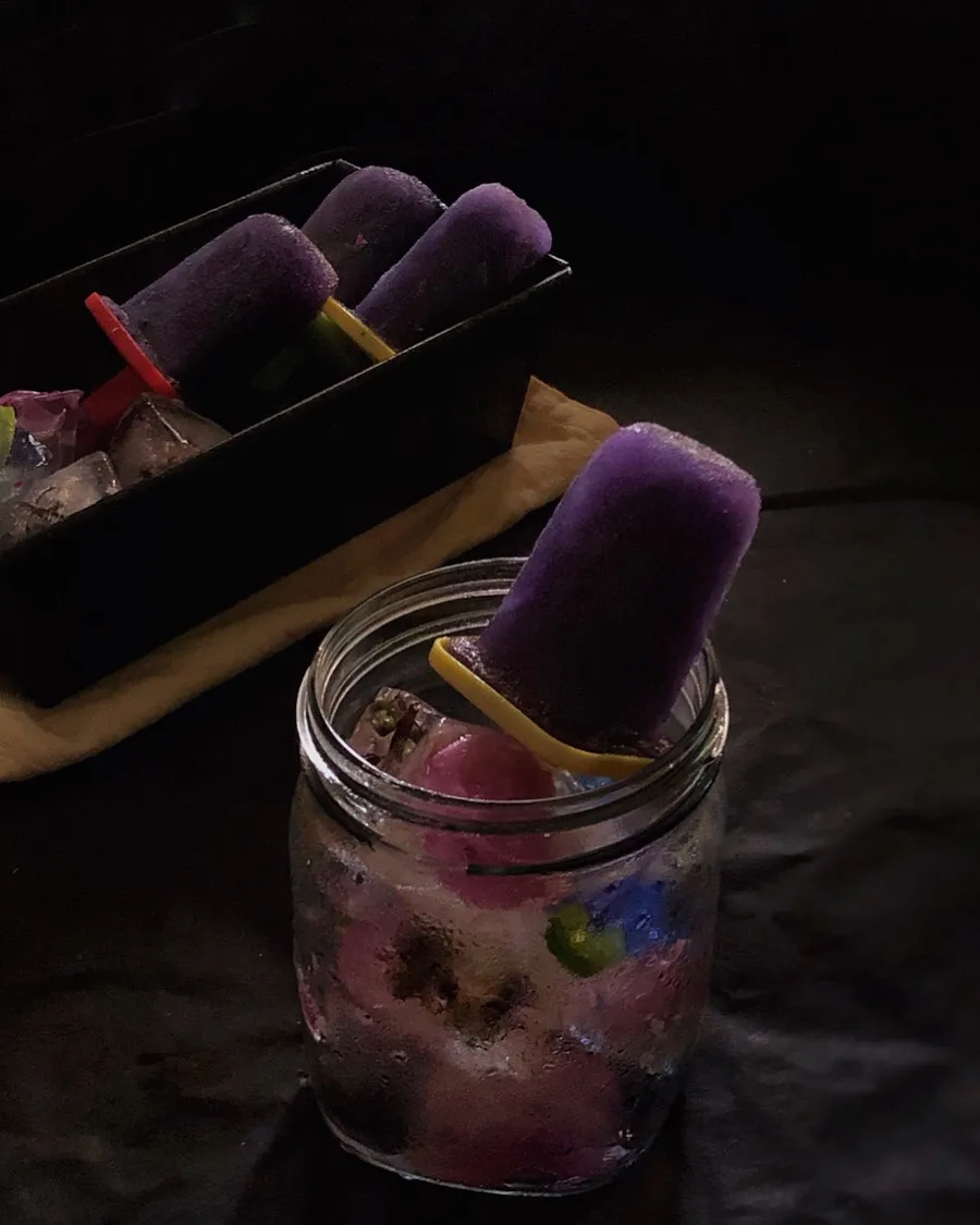 Coconut Water Blueberry Popsicles