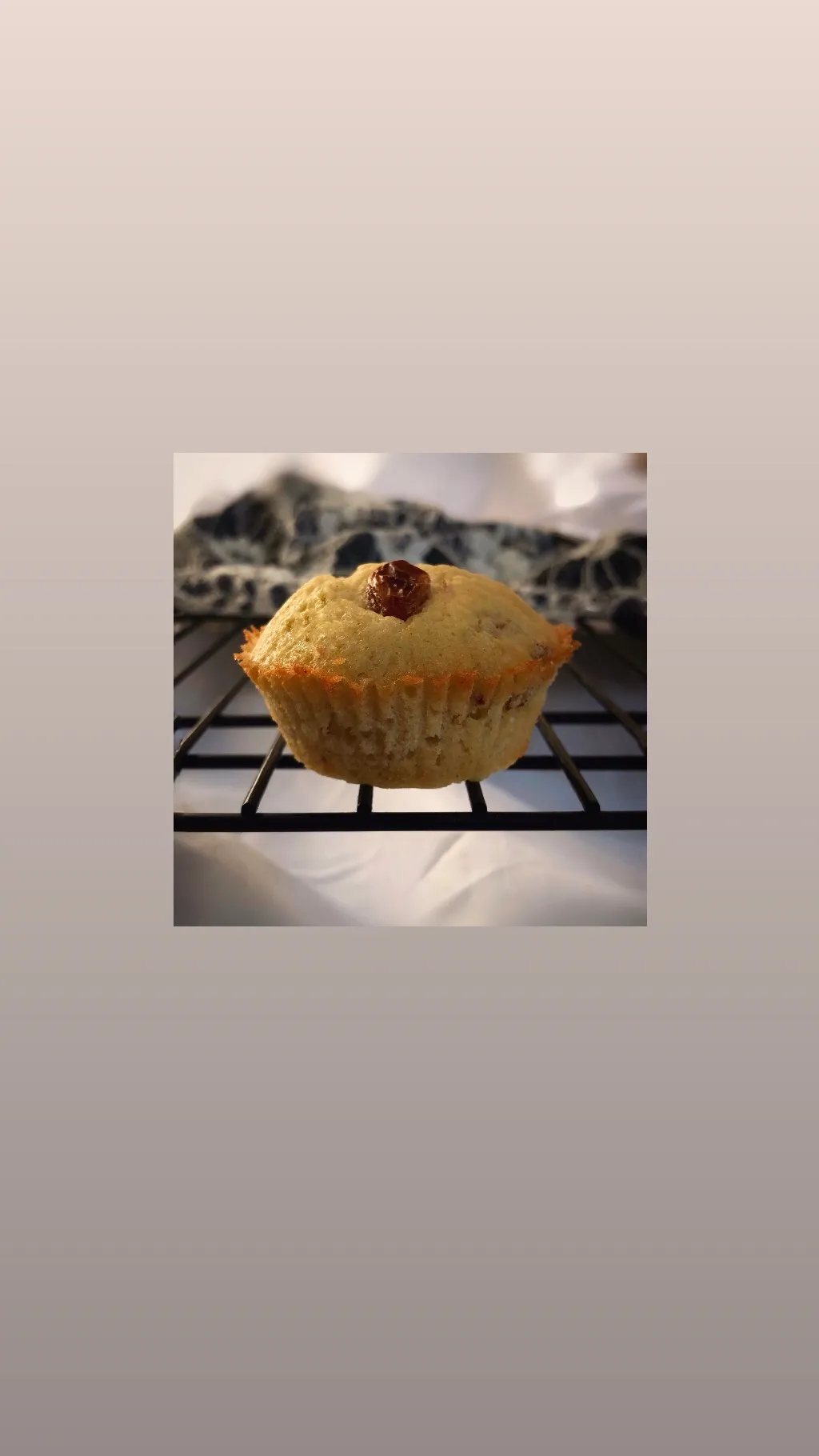 Mildly Spicy Raisin Cake