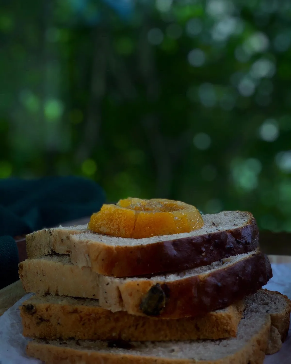 Raisin Walnut Bread