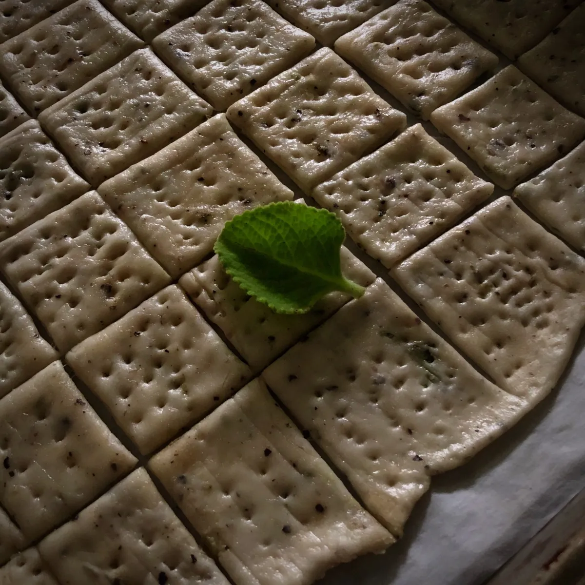 Step 11 image 1