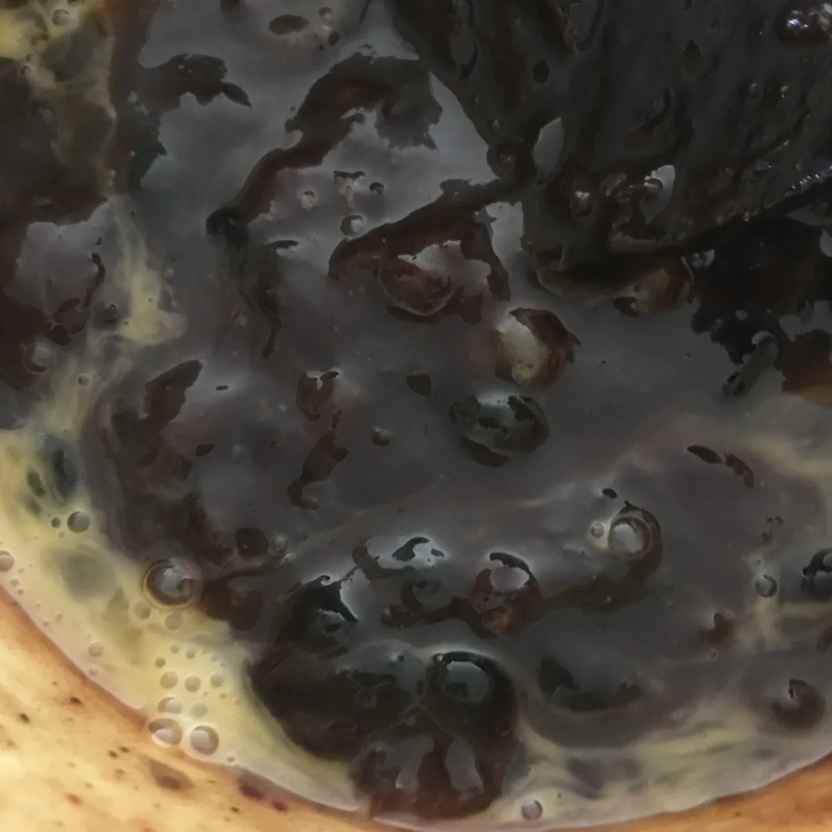 Step 9 image 1