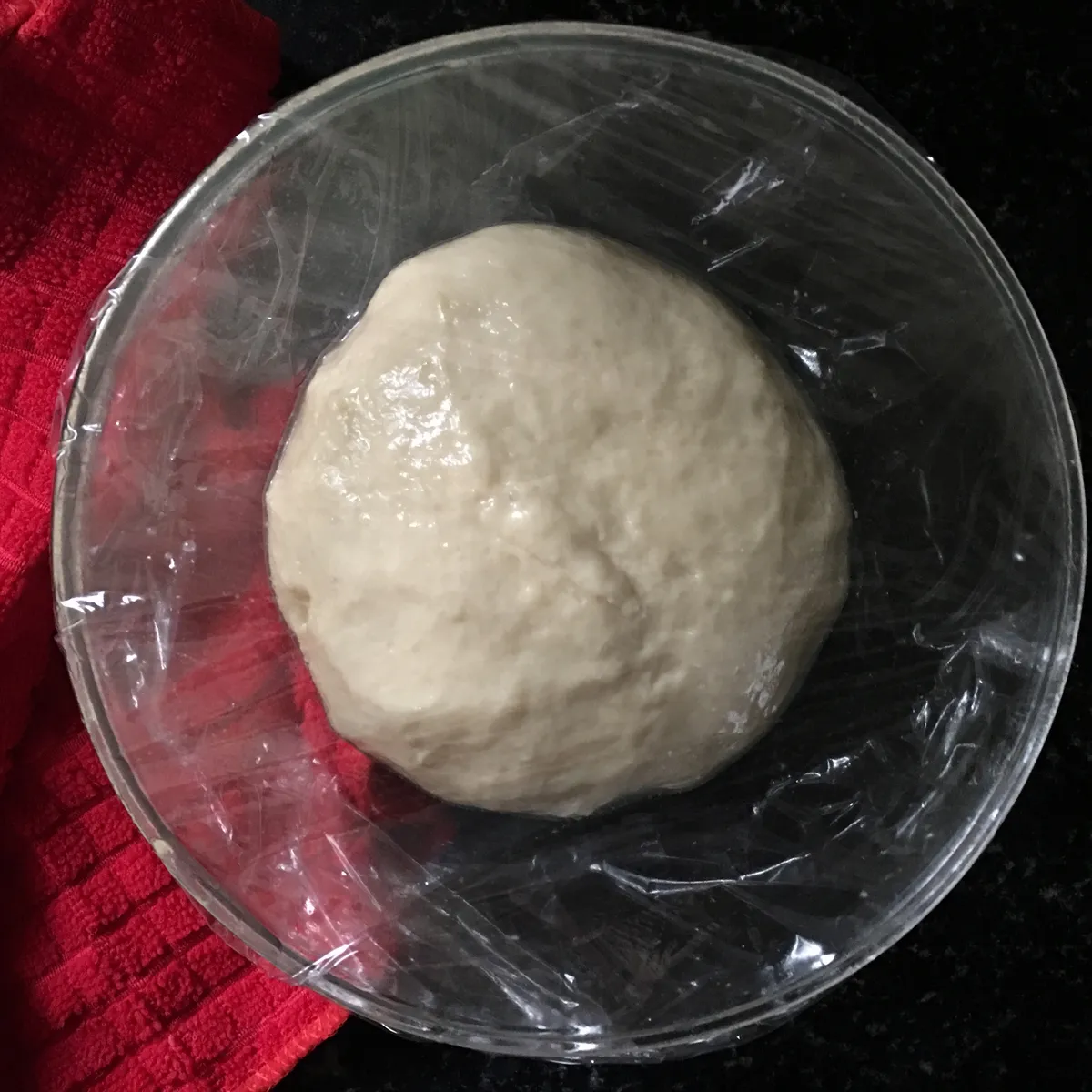 Step 10 image 1
