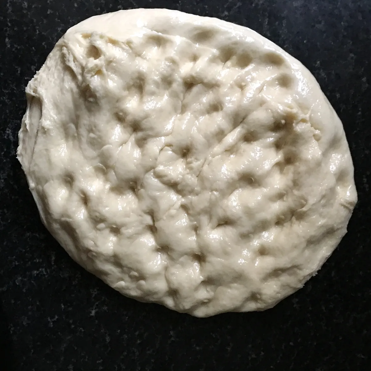 Step 12 image 1