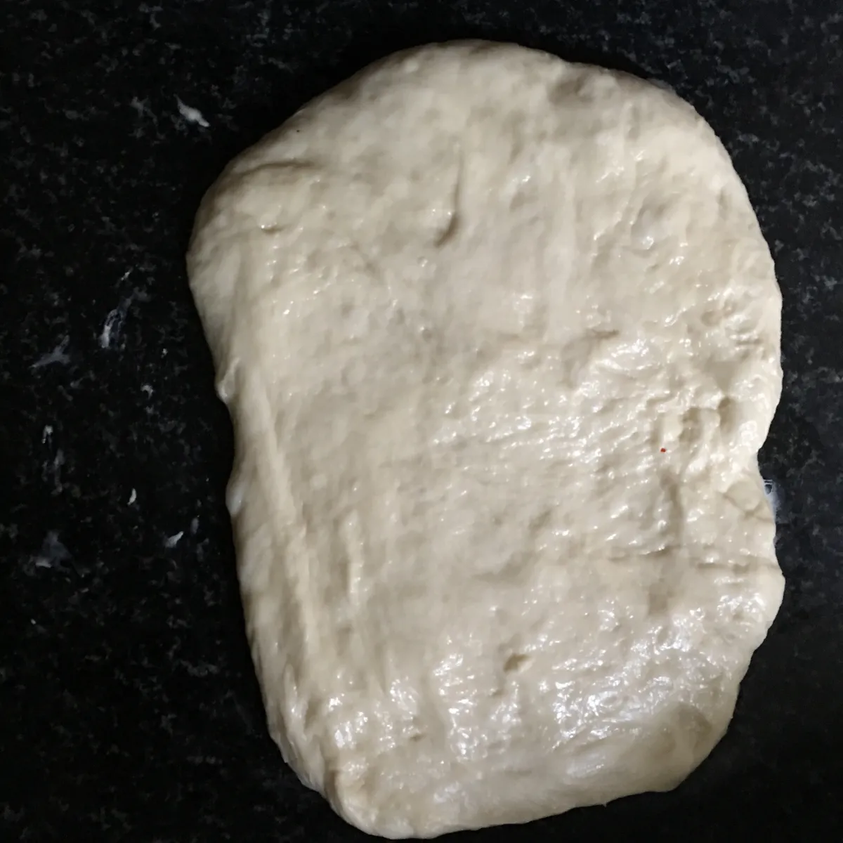 Step 14 image 1