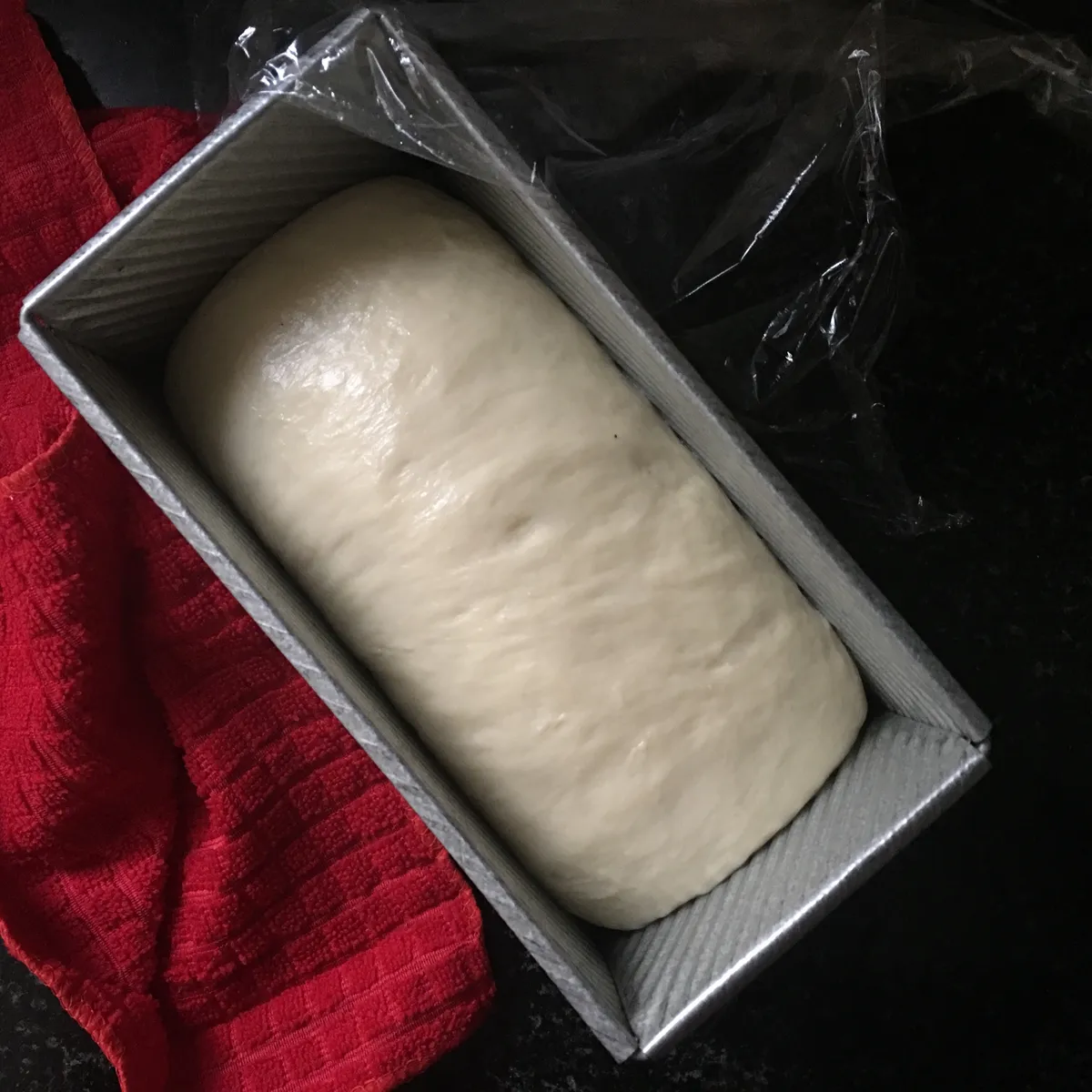 Step 17 image 1