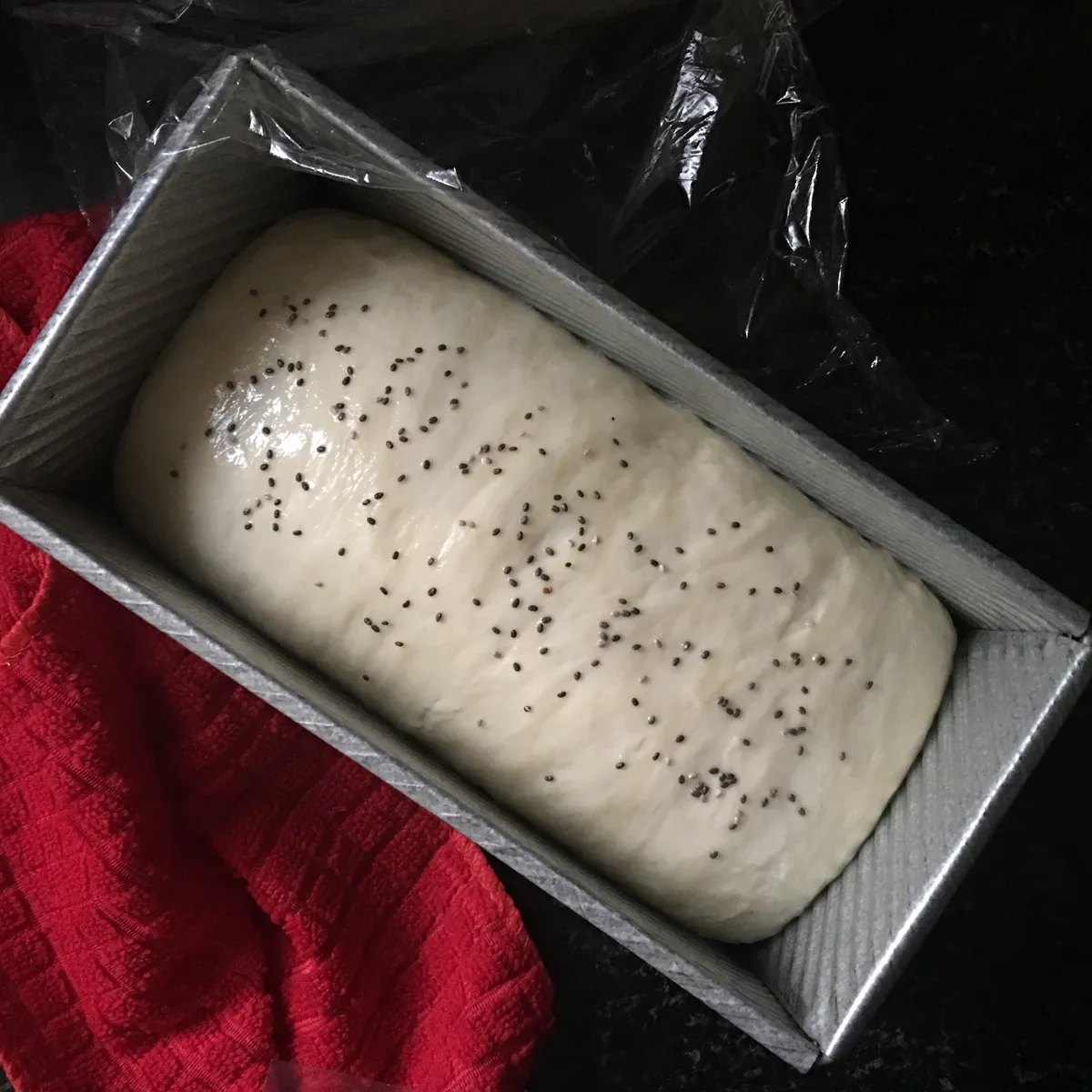 Step 18 image 1
