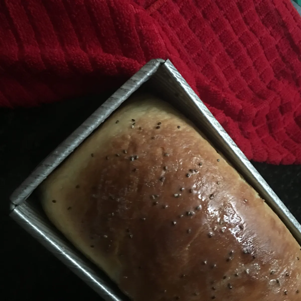 Step 19 image 1