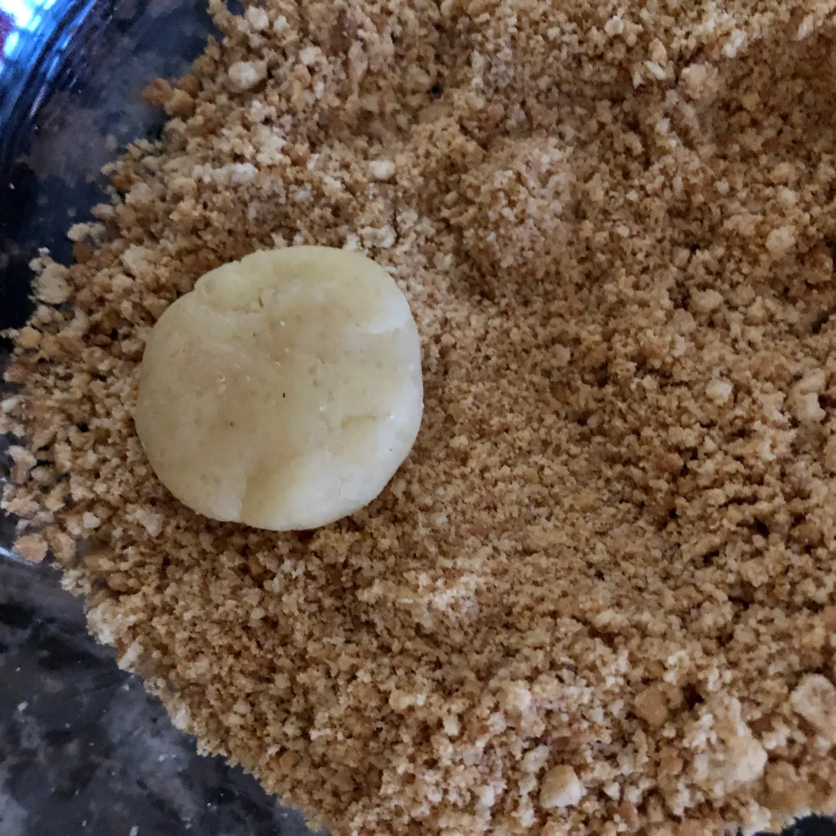 Step 10 image 1