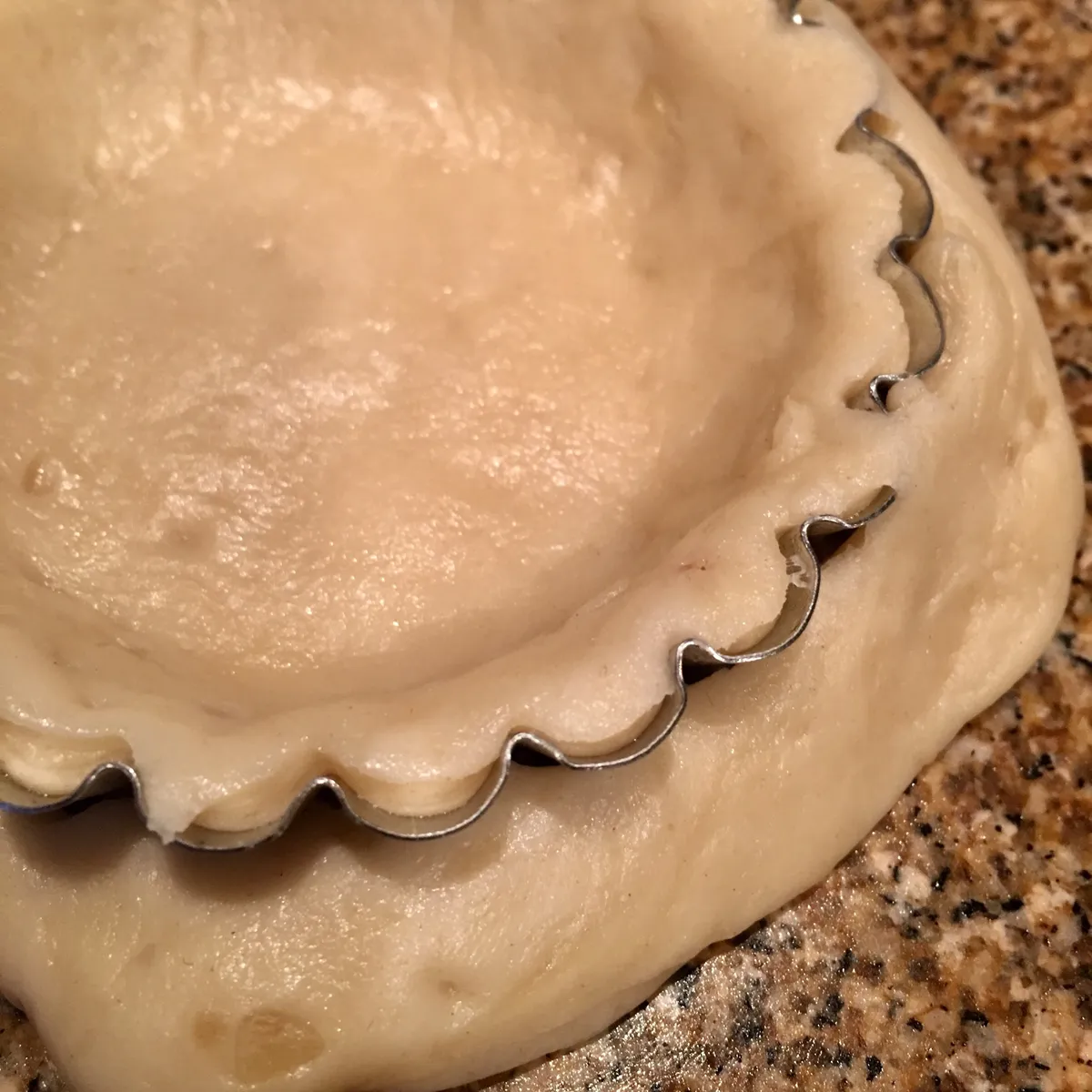 Step 8 image 1