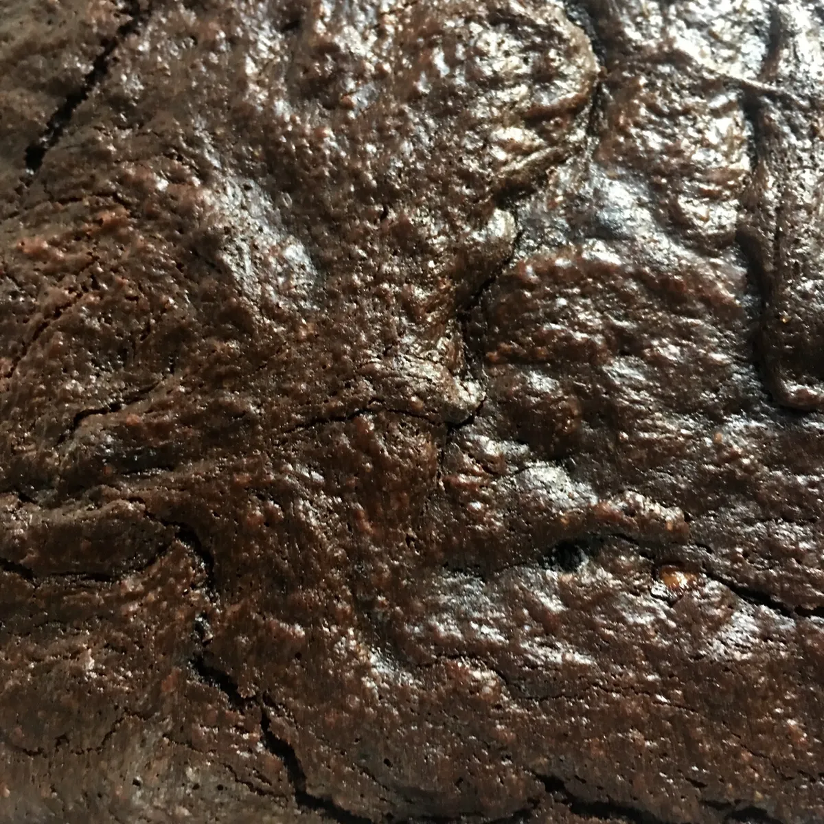Step 10 image 1