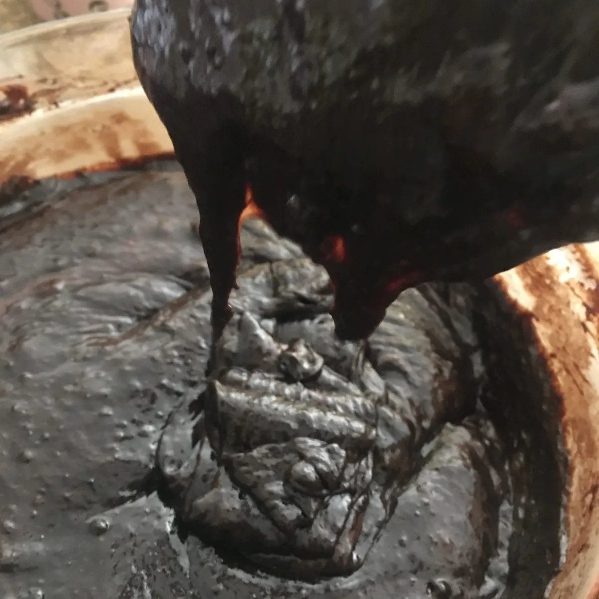 Step 9 image 1