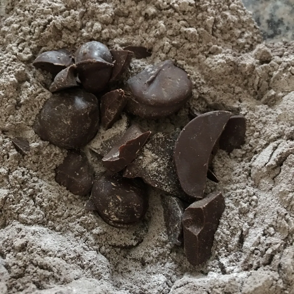 Step 10 image 1