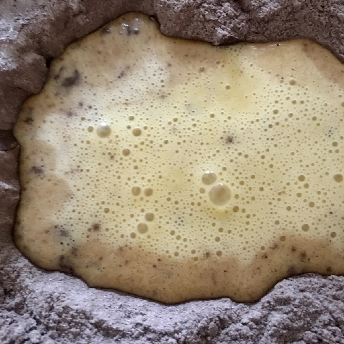 Step 11 image 1