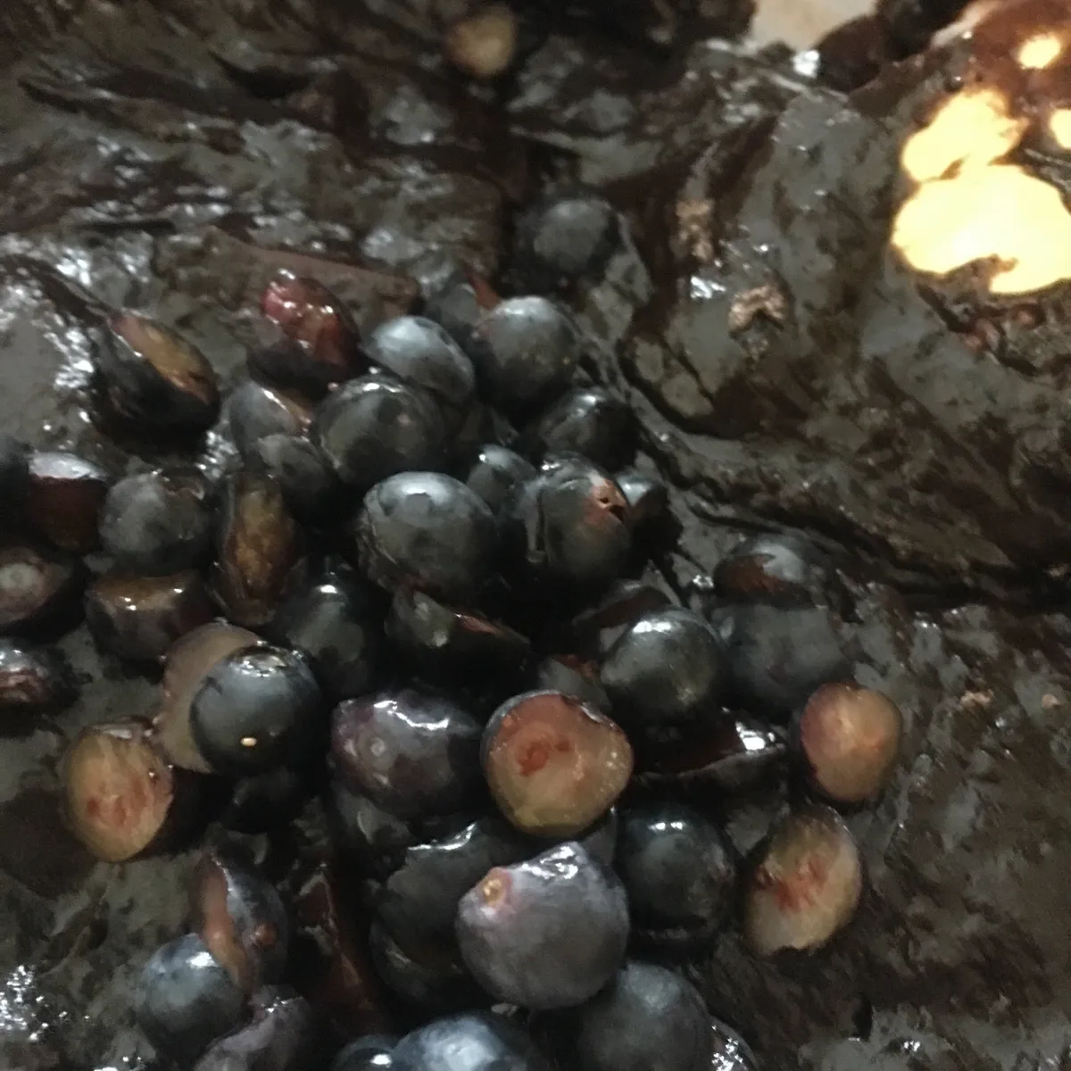 Step 12 image 1