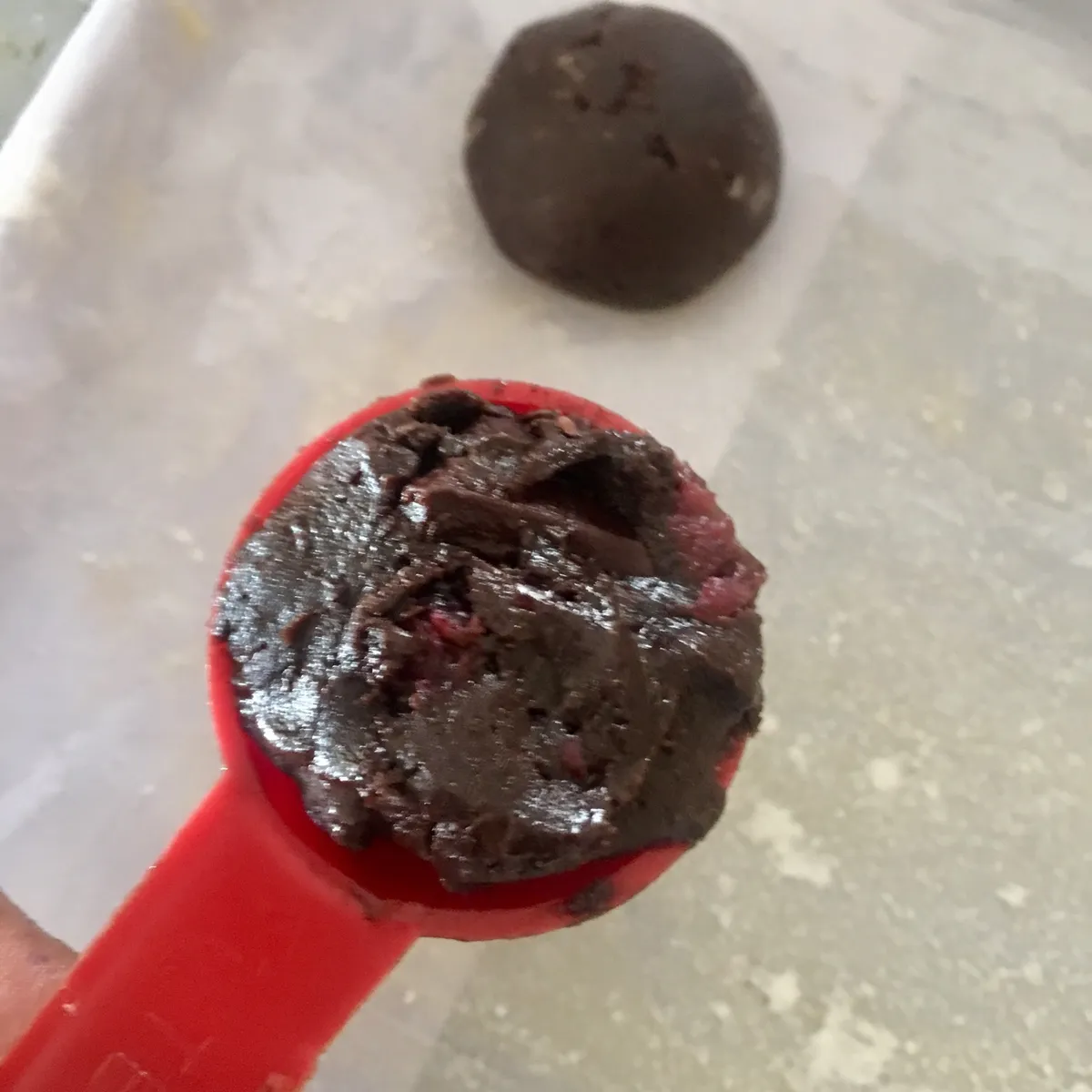 Step 11 image 1