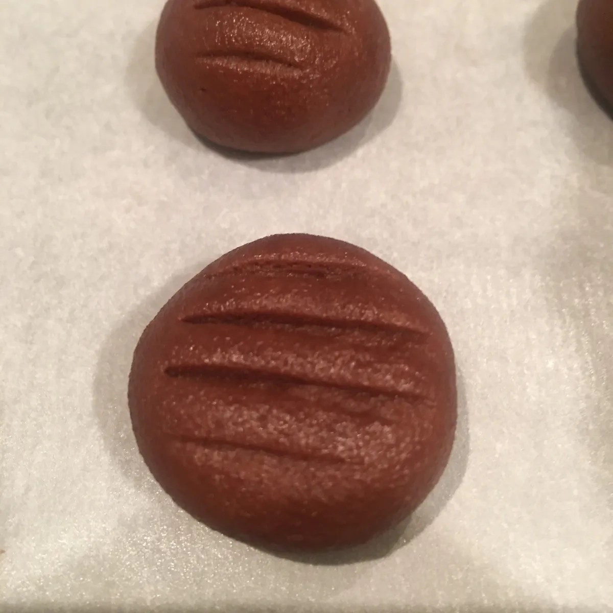 Step 7 image 3