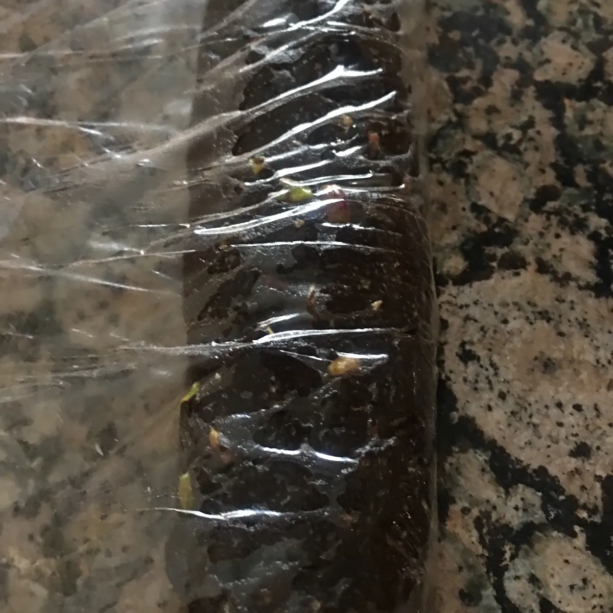 Step 10 image 1