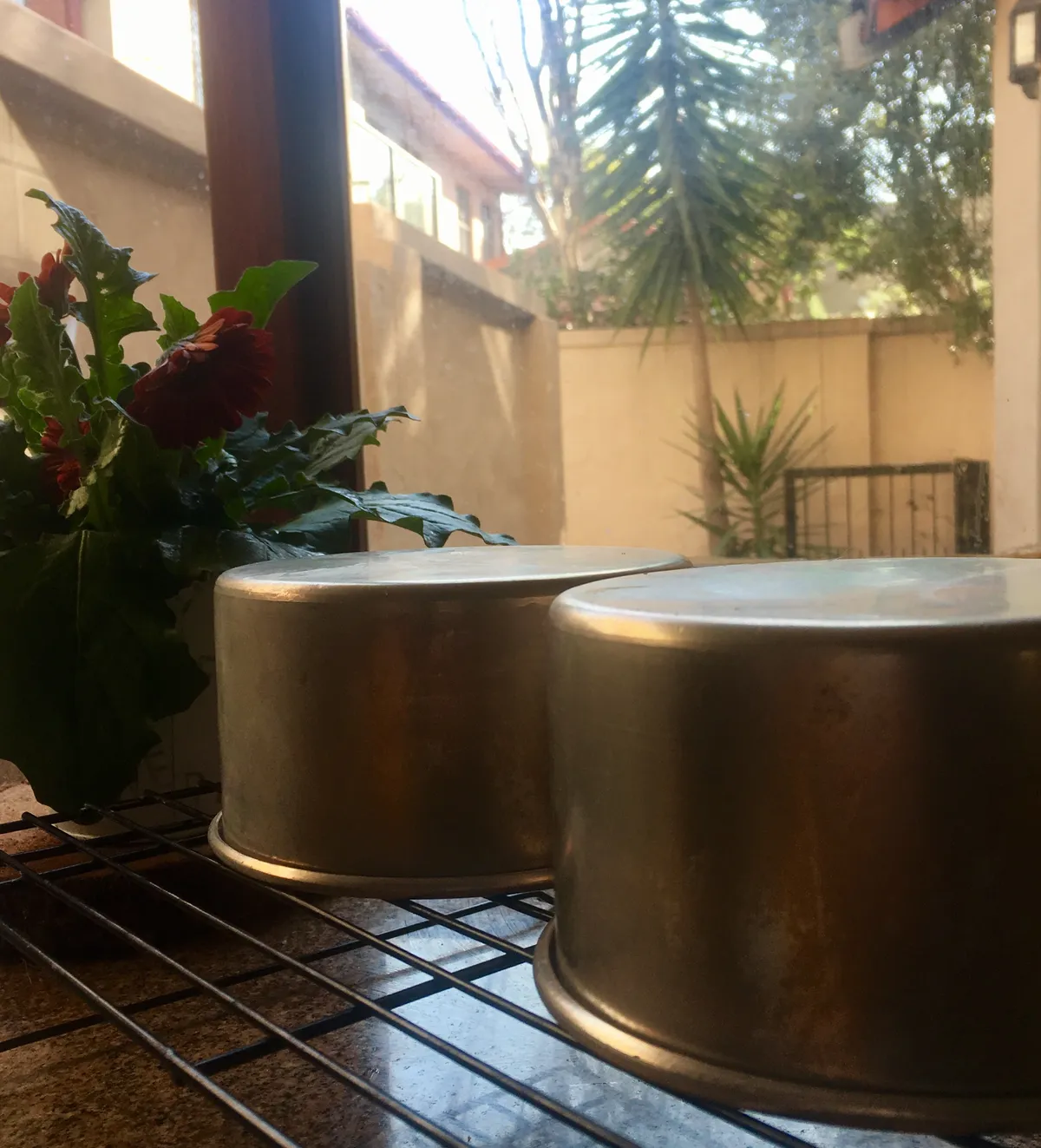 Step 14 image 1