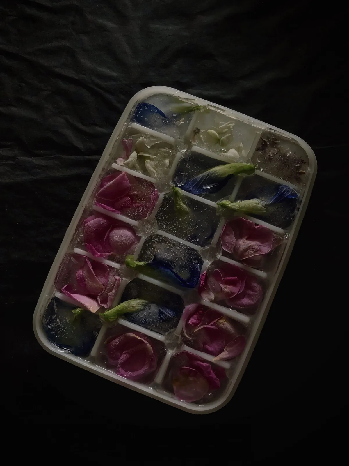 Step 5 image 3