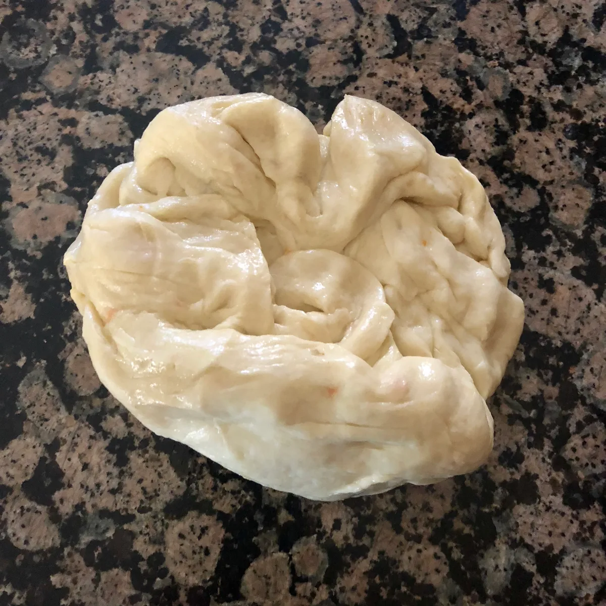 Step 10 image 1