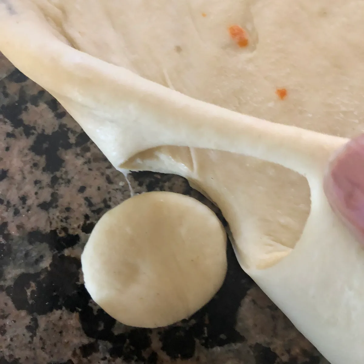 Step 13 image 1