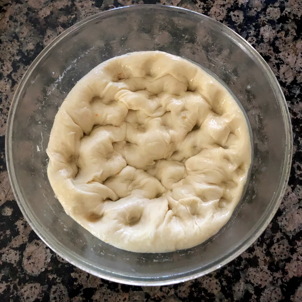 Step 9 image 1