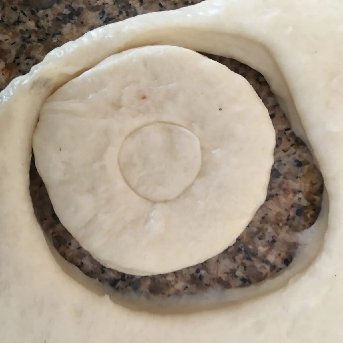 Step 11 image 1