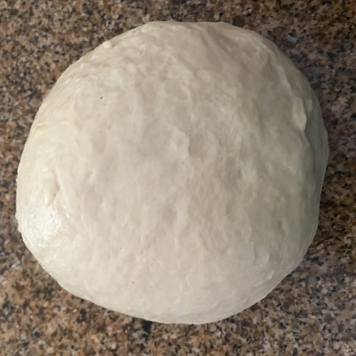 Step 7 image 1