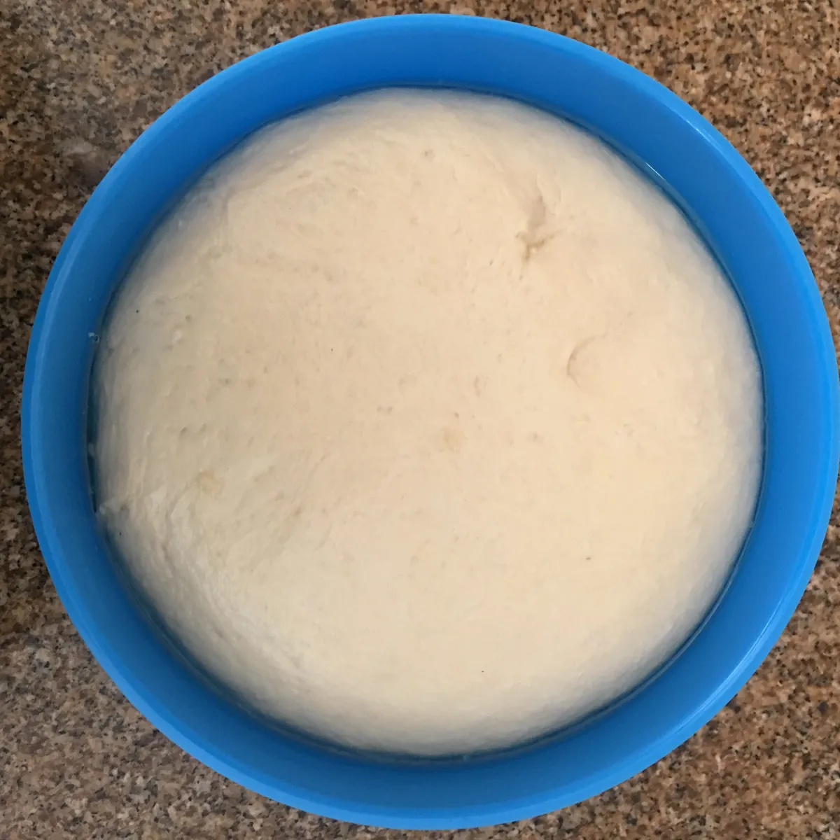 Step 8 image 1