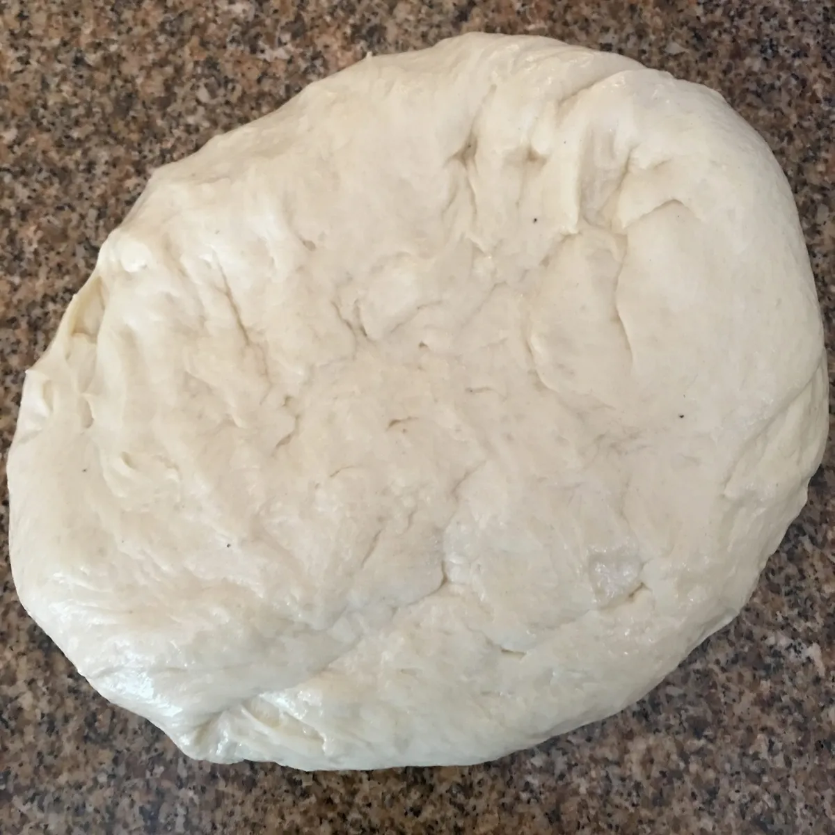 Step 9 image 1