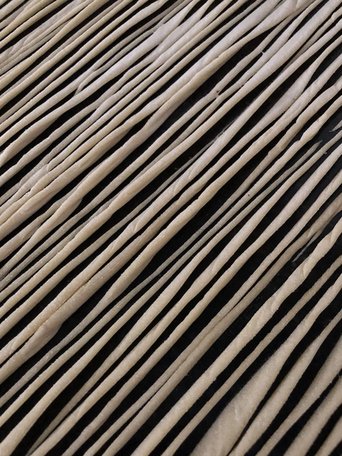 Step 3 image 1
