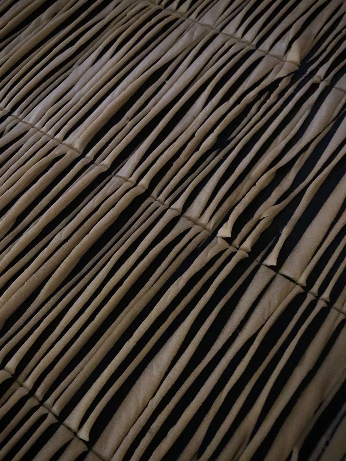 Step 3 image 2