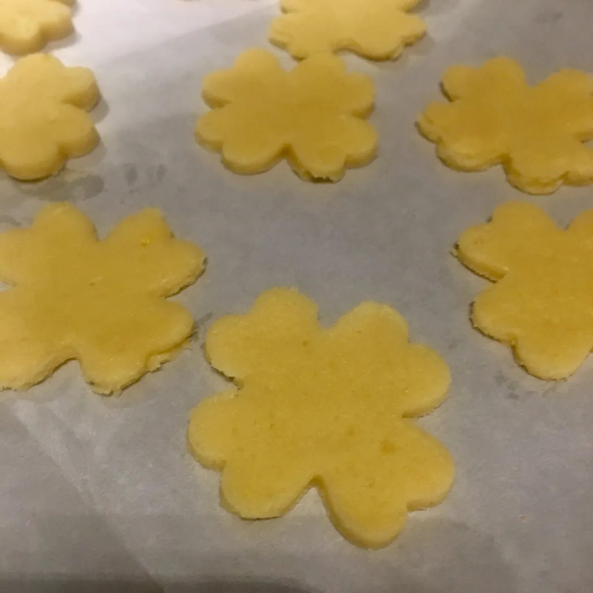 Step 13 image 1