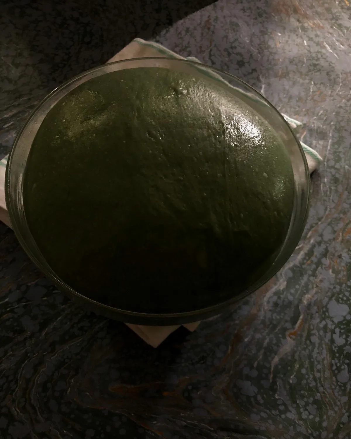 Step 10 image 2
