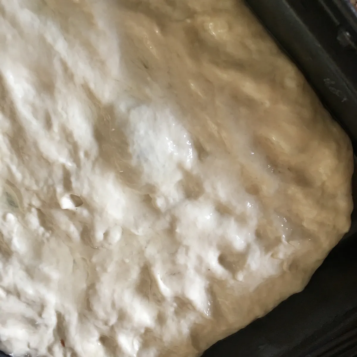 Step 11 image 1