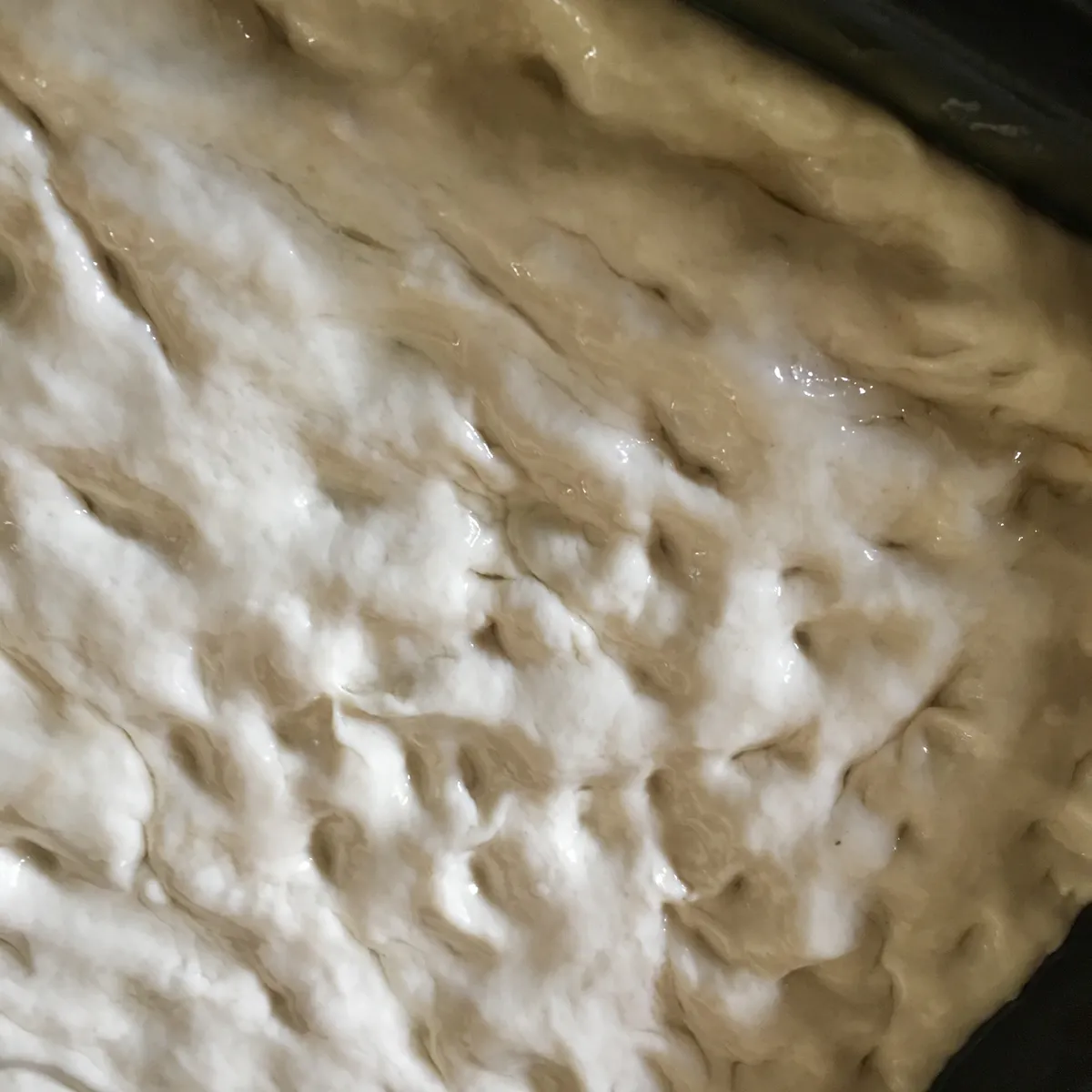 Step 12 image 1