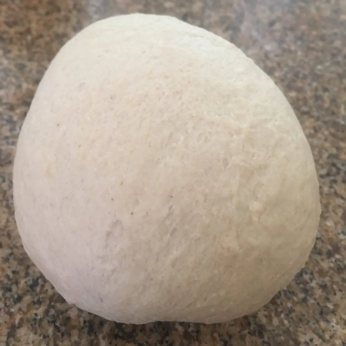 Step 5 image 1