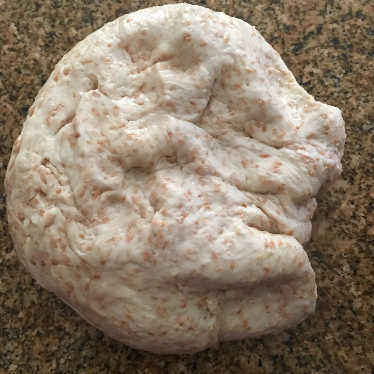 Step 4 image 1