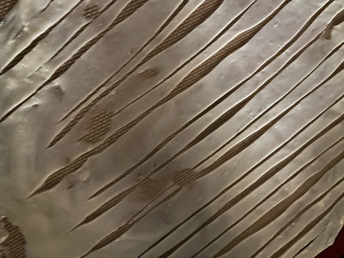 Step 7 image 1