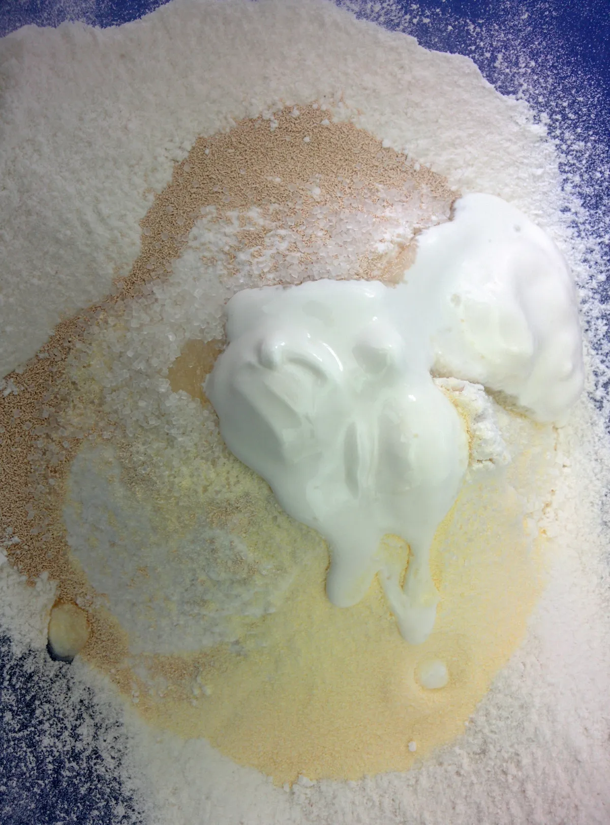 Step 2 image 1