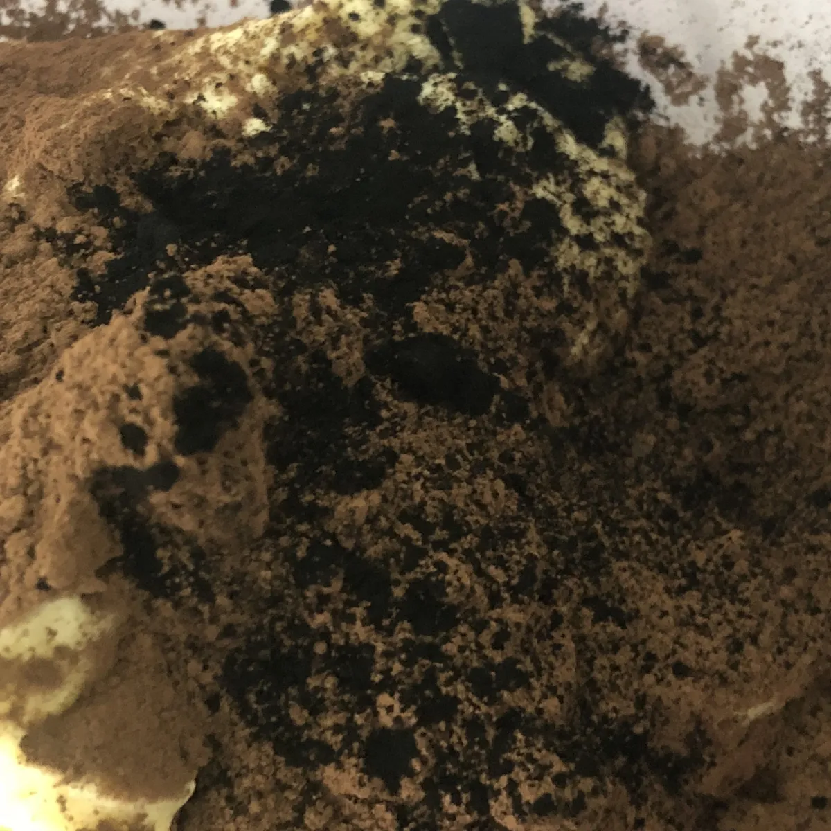 Step 18 image 1