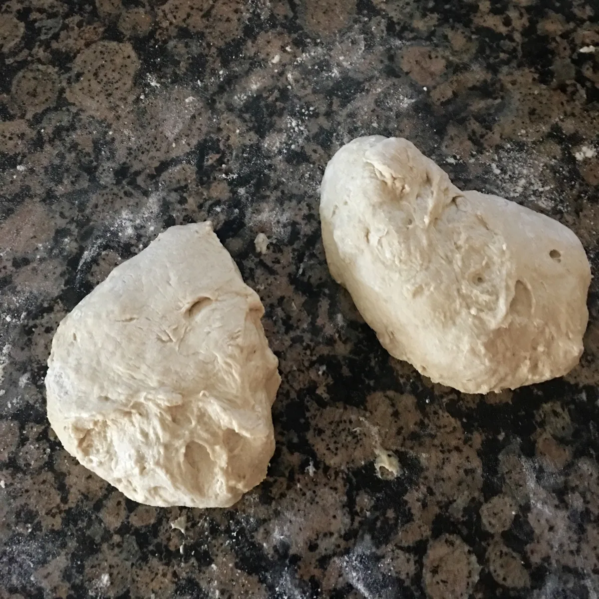 Step 10 image 1