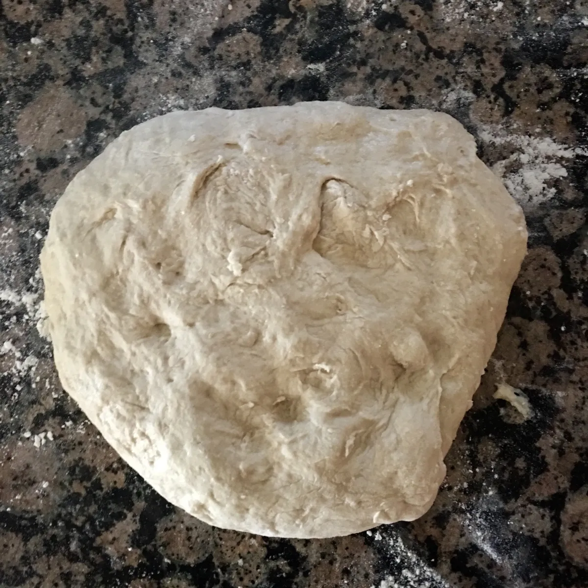 Step 9 image 1