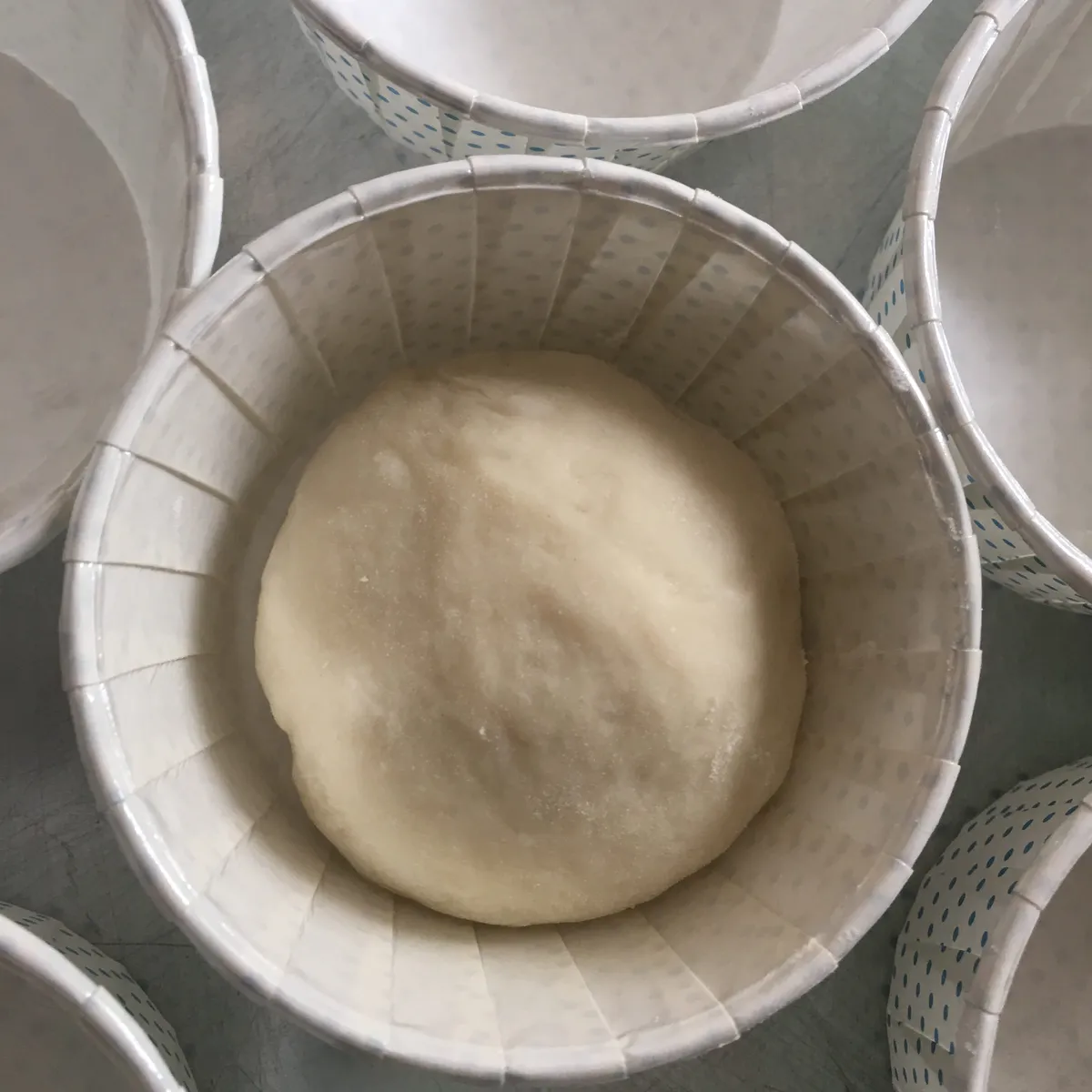 Step 10 image 1