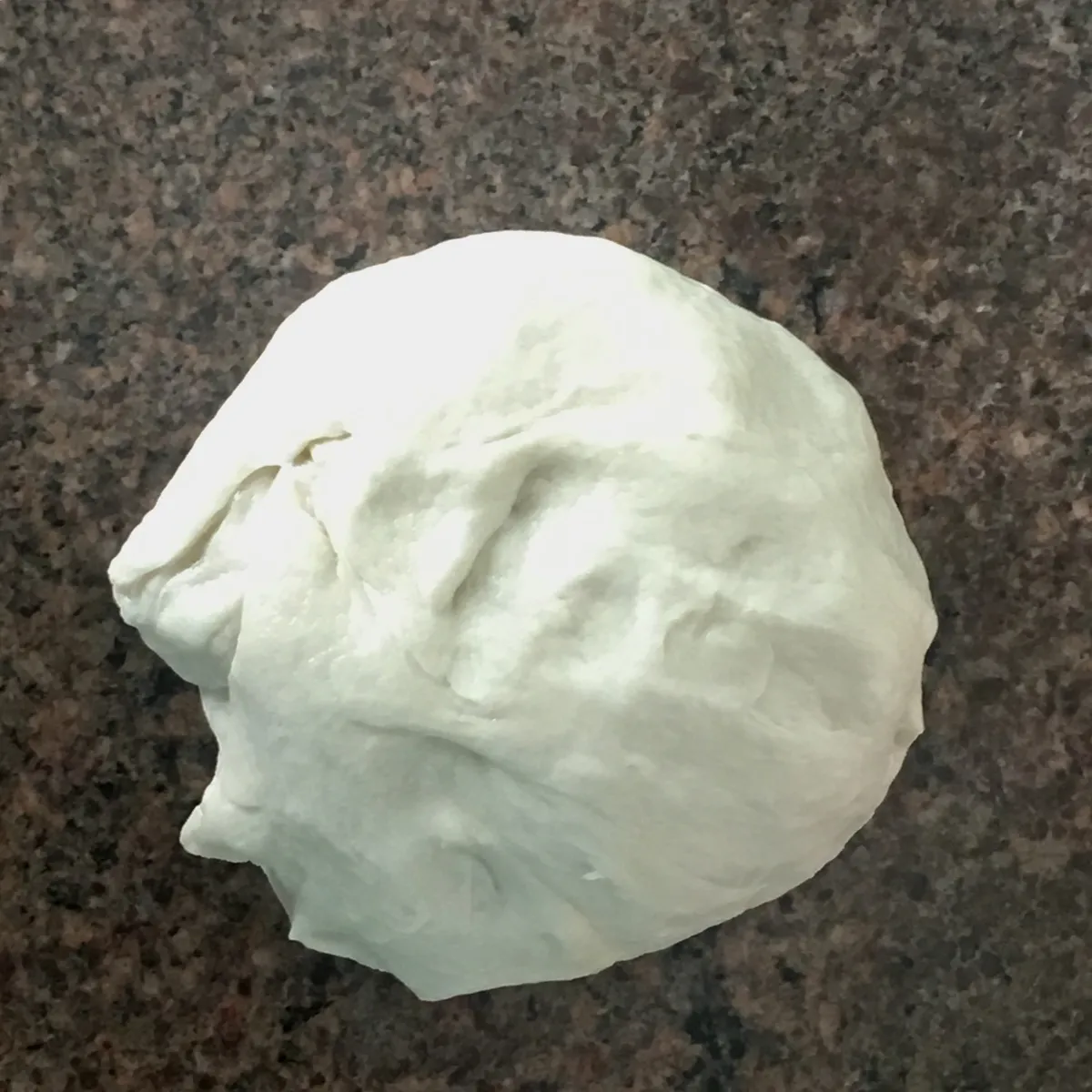 Step 10 image 1