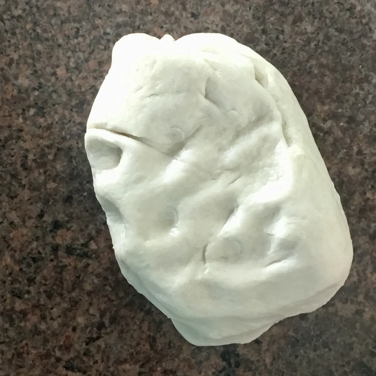 Step 9 image 1