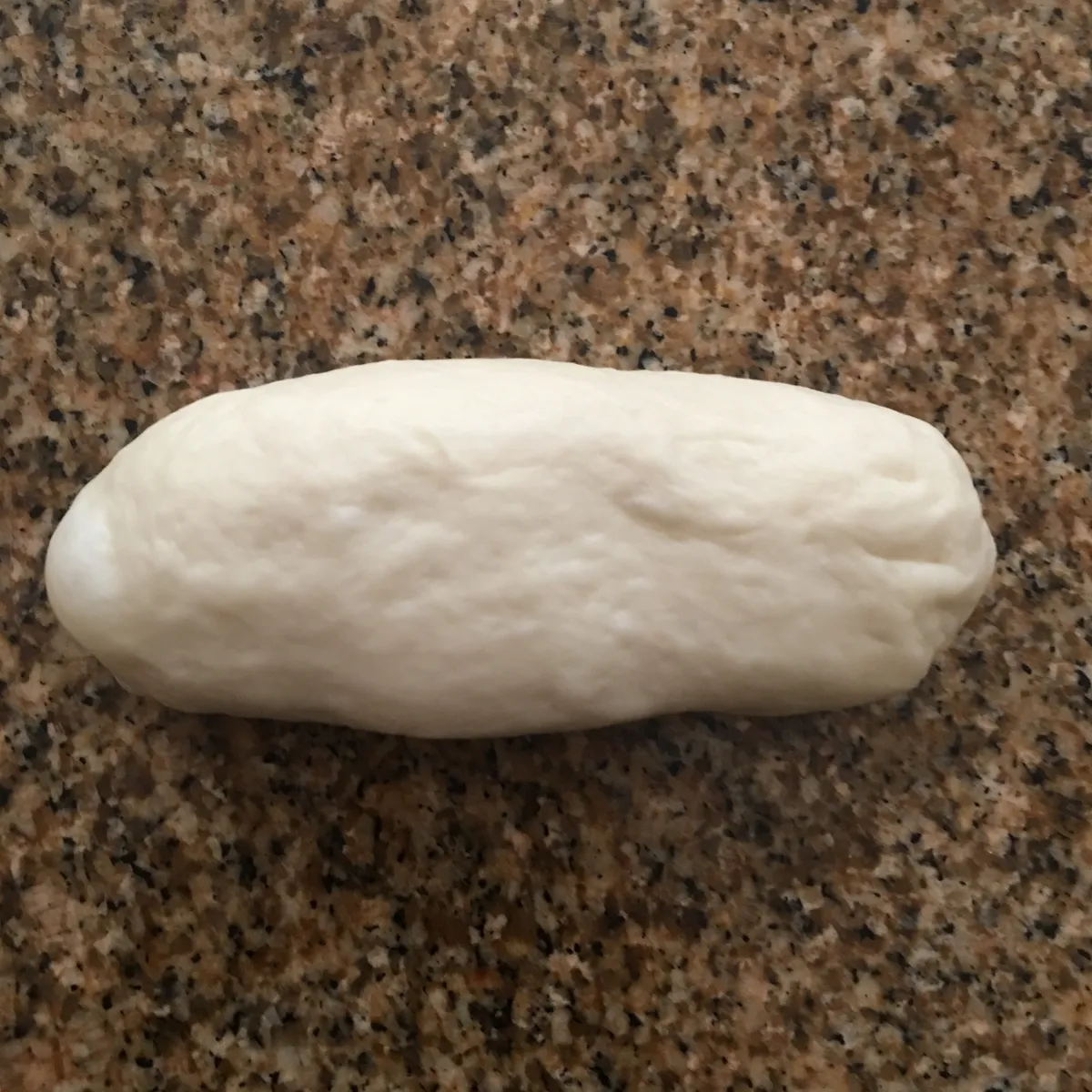 Step 10 image 1